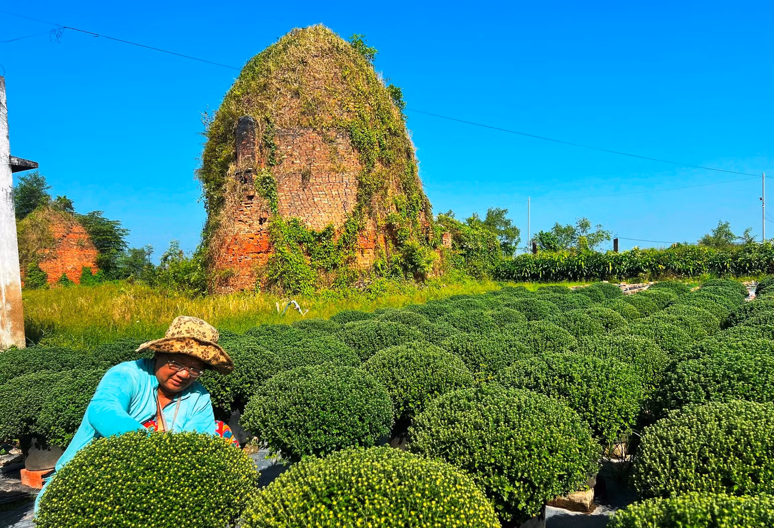 Người dân ấp Lân Tây (xã Phú Sơn) chăm sóc hoa cúc mâm xôi cung ứng cho thị trường Tết. Người dân ấp Lân Tây (xã Phú Sơn) chăm sóc hoa cúc mâm xôi cung ứng cho thị trường Tết.