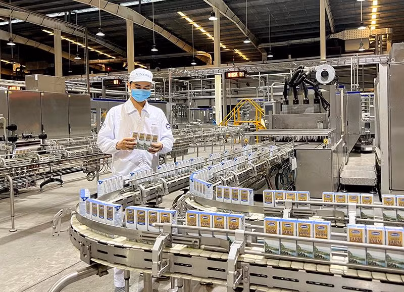 Các nhà máy sản xuất sữa tươi Vinamilk Green Farm tuân thủ nghiêm ngặt các quy định về an toàn thực phẩm và bảo vệ môi trường.