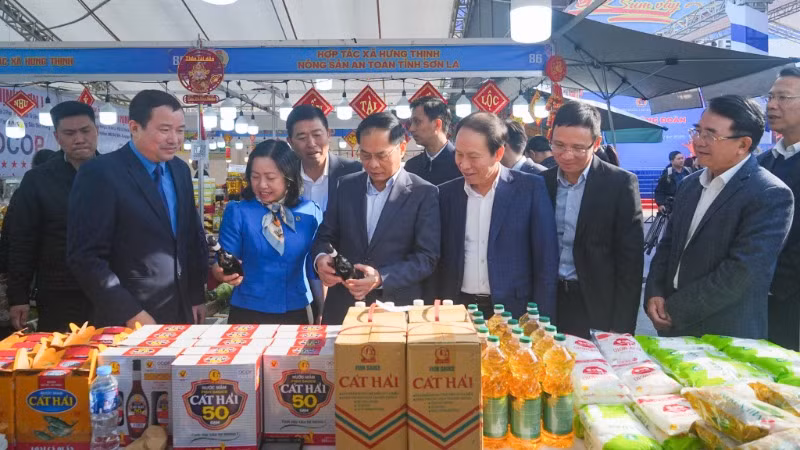 Phó Thủ tướng Chính phủ, Bộ trưởng Ngoại giao Bùi Thanh Sơn cùng lãnh đạo thành phố Hải Phòng thăm chợ Tết Công đoàn Hải Phòng 2025.
