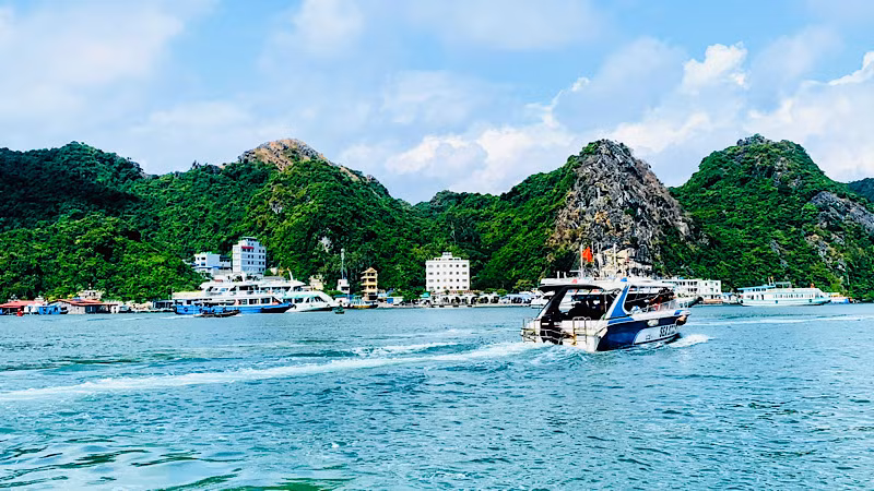 Cùng với Vịnh Hạ Long, quần đảo Cát Bà vừa được UNESCO công nhận là Di sản Thiên nhiên thế giới.