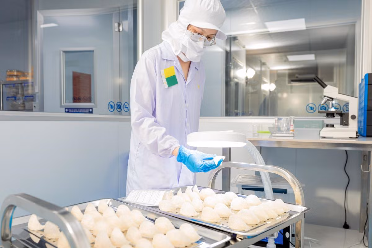 Để được thông quan sang thị trường Pháp, sản phẩm yến sào phải đáp ứng những tiêu chuẩn khắt khe của nước sở tại.