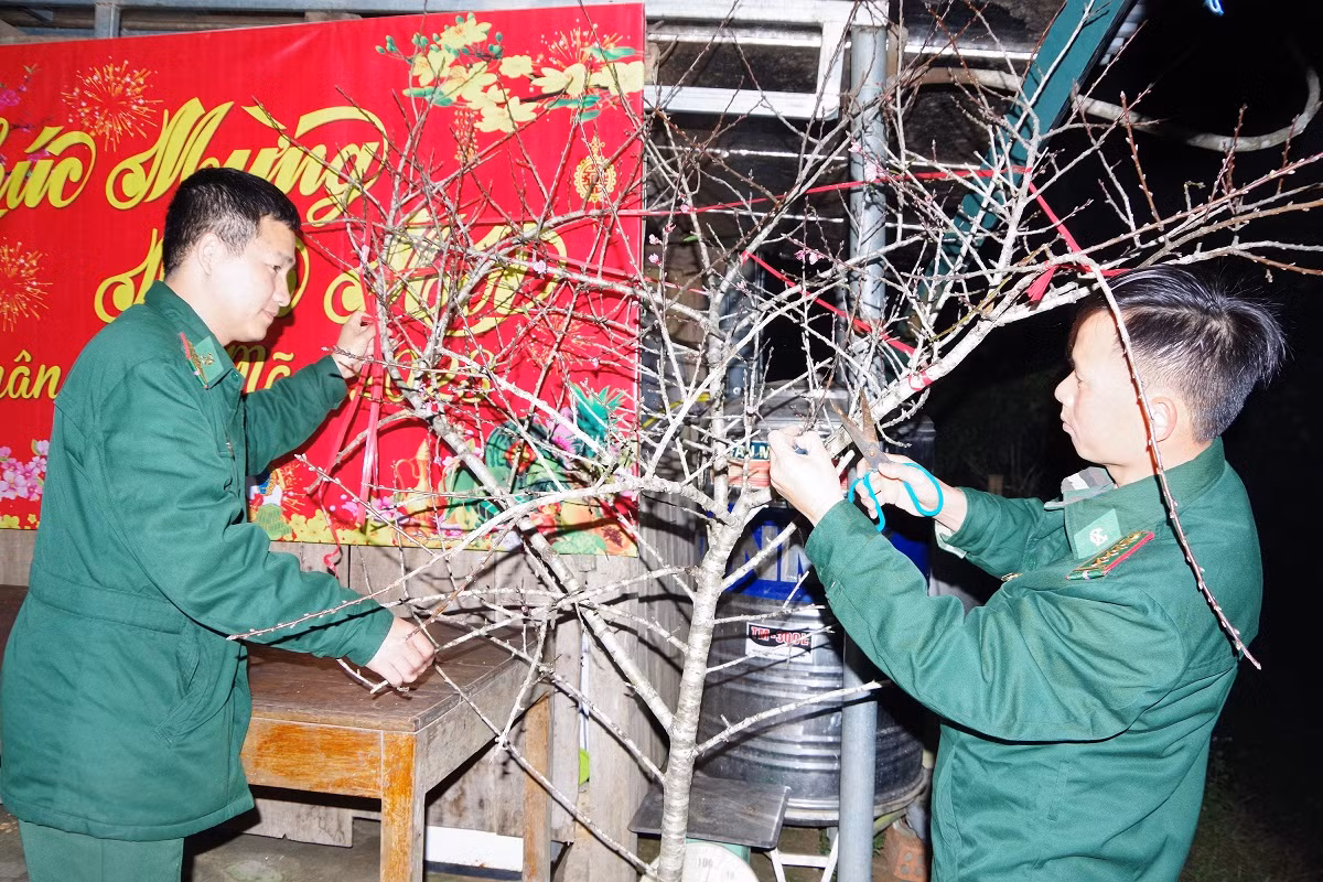 Và không quên chọn một cành đào đẹp đón Tết. Và không quên chọn một cành đào đẹp đón Tết.