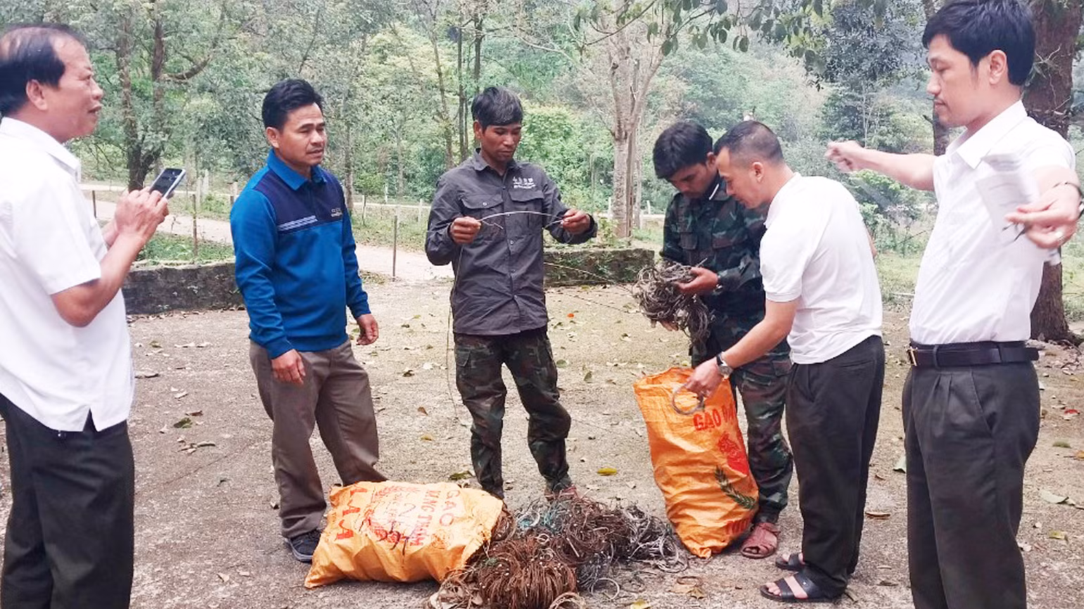 Lực lượng nhận khoán bảo vệ rừng tự nguyện tham gia tháo gỡ bẫy động vật hoang dã và nộp lại cho Ban quản lý Khu bảo tồn thiên nhiên Đakrông.