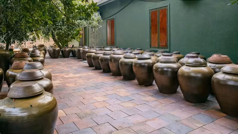 Những chum rượu mơ được ủ theo công thức riêng. Những chum rượu mơ được ủ theo công thức riêng.