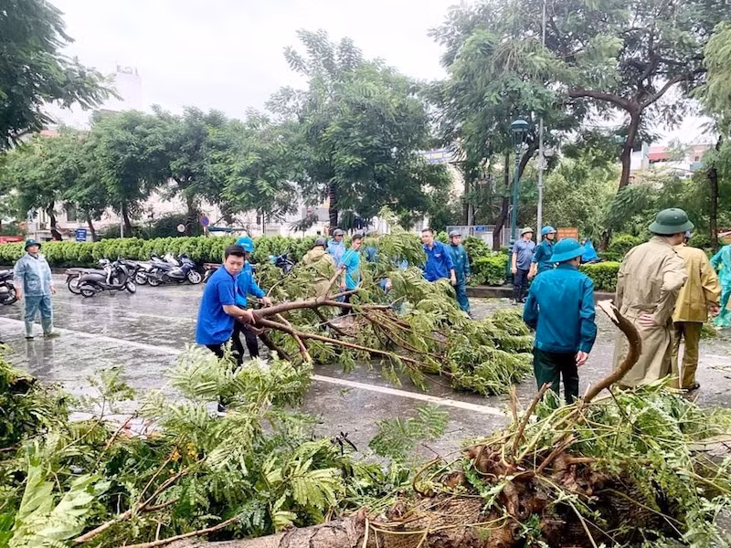 Thanh niên tình nguyện cùng các lực lượng chức năng thu dọn cây gãy, đổ trên đường phố Hà Nội.