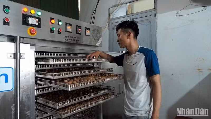 Tỉnh Đắk Nông cũng đang tập trung hỗ trợ các cơ sở đầu tư cho công nghệ, máy móc nhằm nâng cao giá trị sản phẩm; hình thành vùng nguyên liệu mắc-ca có đăng ký mã vùng trồng; hướng tới thị trường xuất khẩu. Tỉnh Đắk Nông cũng đang tập trung hỗ trợ các cơ sở đầu tư cho công nghệ, máy móc nhằm nâng cao giá trị sản phẩm; hình thành vùng nguyên liệu mắc-ca có đăng ký mã vùng trồng; hướng tới thị trường xuất khẩu.