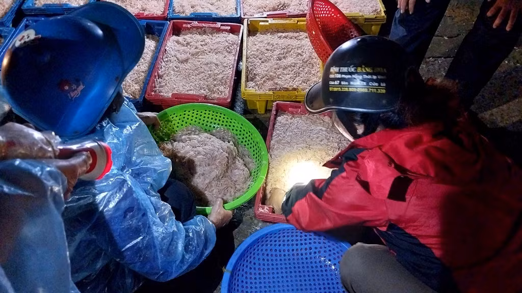 Anh Võ Hoàng Trung, ngư dân phường Nghi Thủy cho biết, hôm qua thuyền anh xúc được 5 tạ ruốc, hôm nay được hơn 3 tạ. Ruốc khi đánh bắt về được bán cho các cơ sở chế biến mắm tôm, phơi sấy, giá từ 10 – 13 nghìn đồng/tạ, tùy theo chất lượng.
