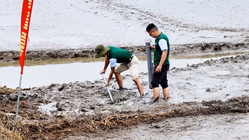 Đặt thiết bị theo dõi mực nước để áp dụng quy trình canh tác ngập khô xen kẽ của đề án 1 triệu hecta lúa chất lượng cao, phát thải thấp.