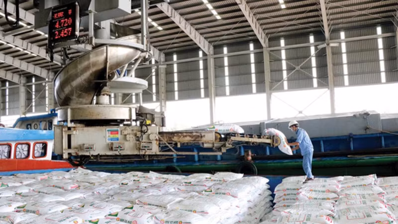 Sản phẩm Đạm Cà Mau trước khi được đưa ra thị trường.