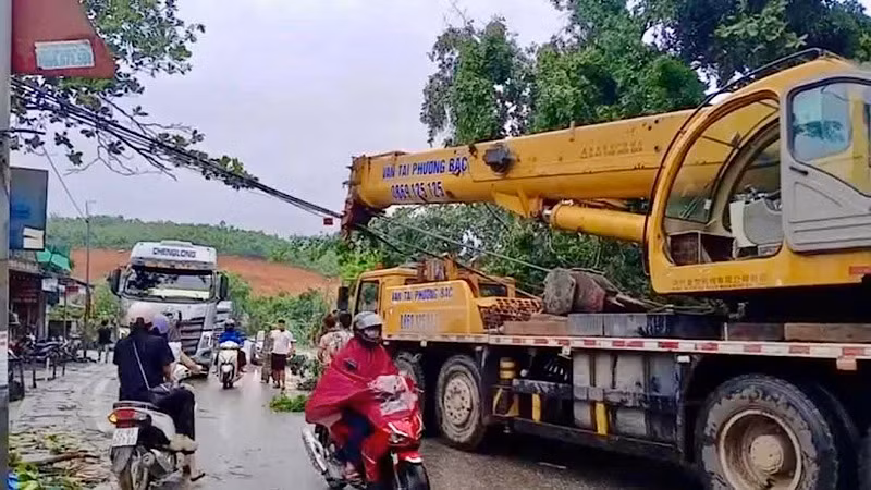 Quốc lộ 2 hướng Tuyên Quang đi Hà Giang bị ách tắc giao thông do nhiều cây bị đổ.