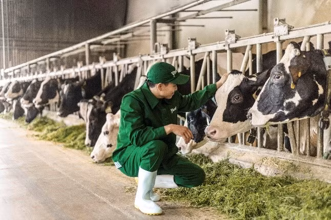Vinamilk hiện quản lý hệ thống 14 nhà máy và 14 trang trại tại Việt Nam, trong đó có 3 trang trại sinh thái Green Farm. Tiên phong với các cam kết về phát triển bền vững, đặc biệt về giảm phát thải khí nhà kính, đến nay, Vinamilk đã có 2 nhà máy và 1 trang trại đạt chứng nhận Trung hòa Carbon theo tiêu chuẩn quốc tế PAS 2060:2014.