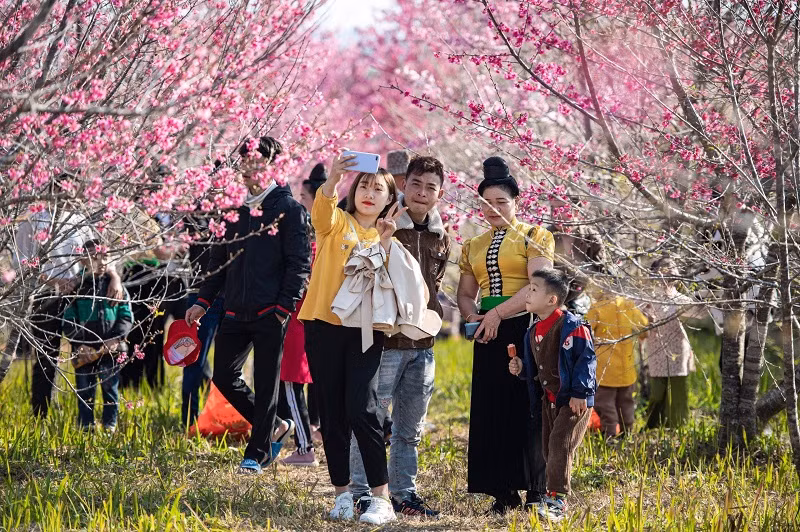 Khách du lịch tham quan trải nghiệm tại đảo hoa Pá Khoang. Khách du lịch tham quan trải nghiệm tại đảo hoa Pá Khoang.