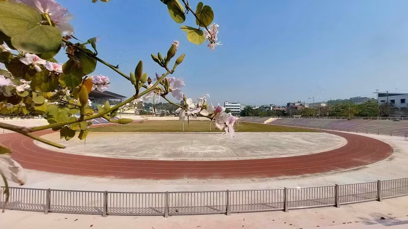 Hàng rào ngăn trong sân vận động đã được hoàn thiện.