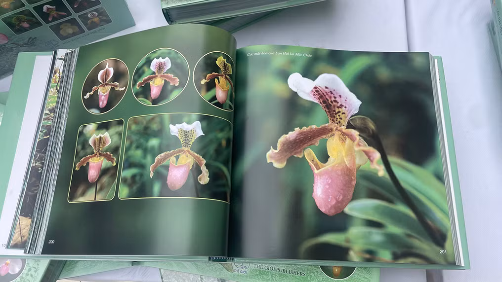 Nhiều loài hoa hiếm được giới thiệu trong sách. Nhiều loài hoa hiếm được giới thiệu trong sách.