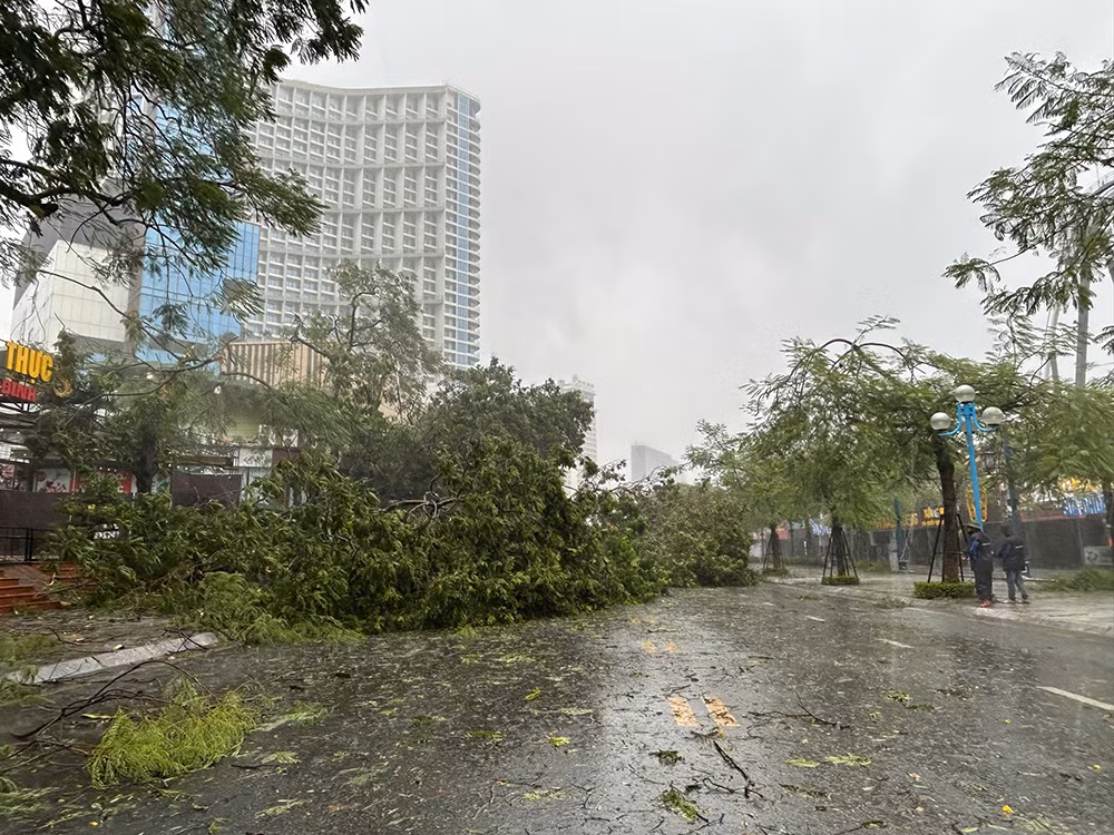 Cây xanh nằm ngổn ngang trên các đường phố.