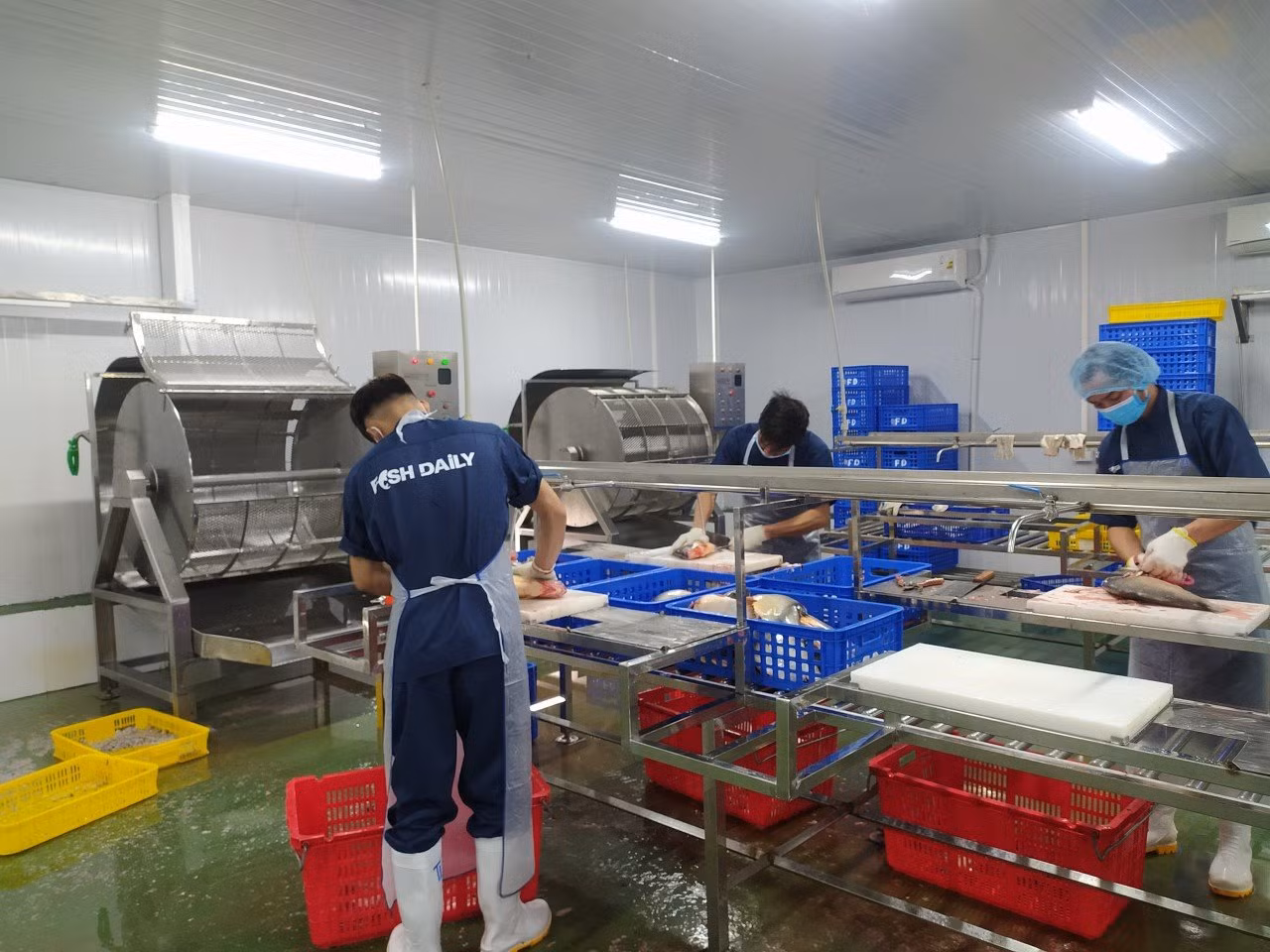 Quy trình sơ chế bảo đảm an toàn vệ sinh thực phẩm của hợp tác xã công nghệ cao Đại Áng.