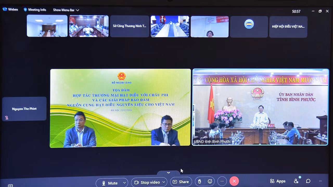 Tọa đàm được tổ chức trực truyến. (Ảnh: Bộ Ngoại giao)