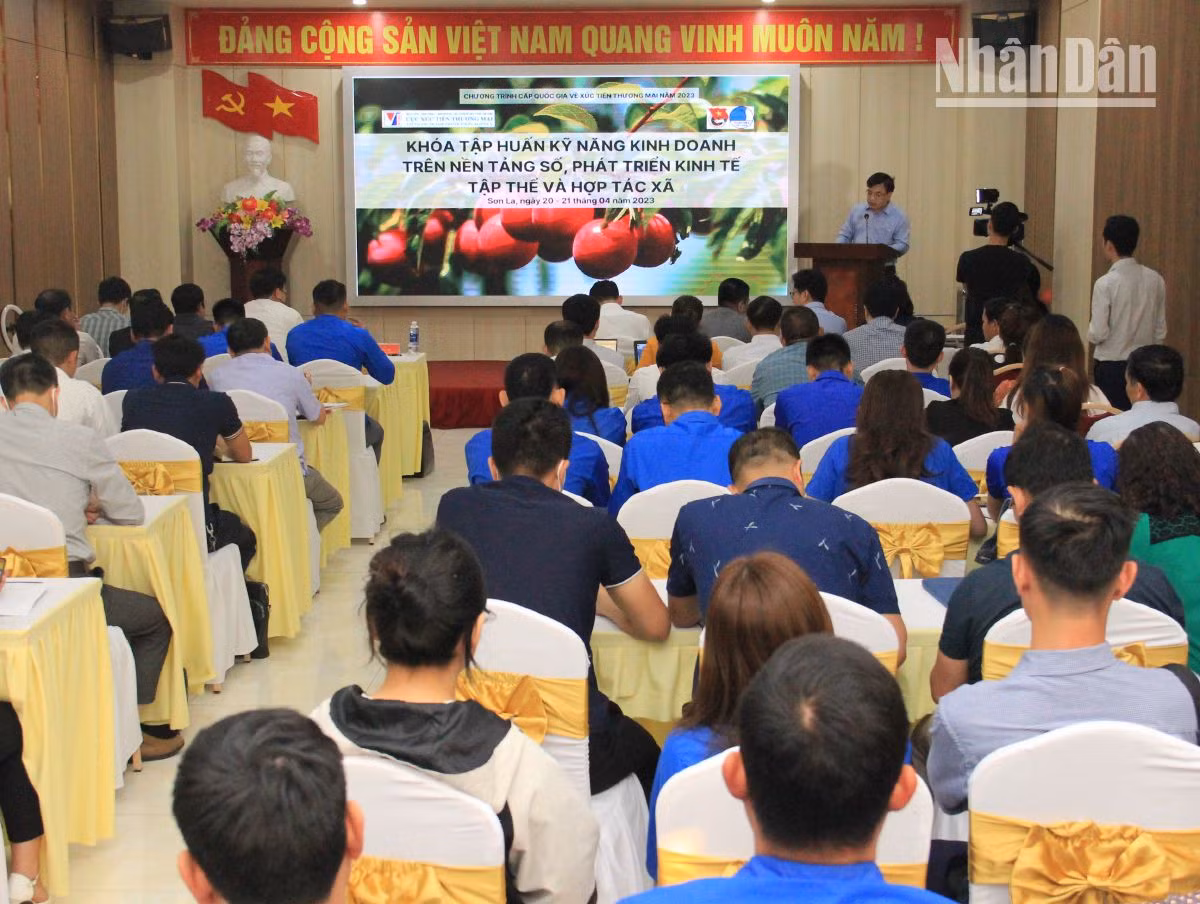 Học viên thuộc 50 doanh nghiệp, hợp tác xã, hộ kinh doanh tham gia tập huấn kỹ năng kinh doanh trên nền tảng số phát triển thương hiệu, xây dựng hình ảnh.