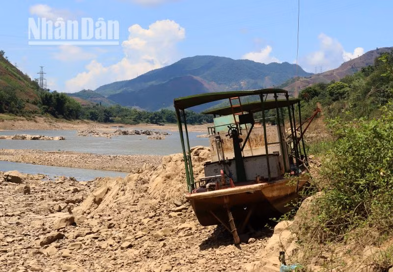 Nhiều tàu, thuyền phía hạ lưu thủy điện Sơn La đã dừng hoạt động do không có nước.
