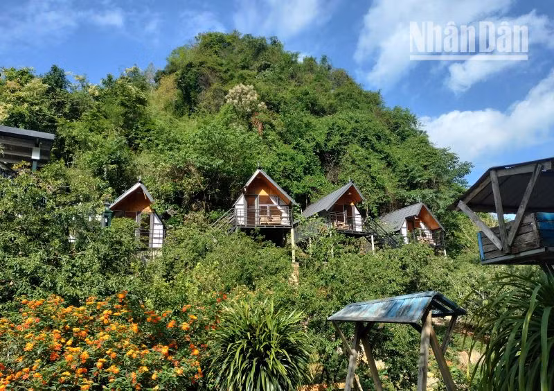 Nhiều homestay xây dựng chưa đúng quy định trên đất nông nghiệp, lâm nghiệp đang được huyện Mộc Châu tuyên truyền vận động tháo dỡ.