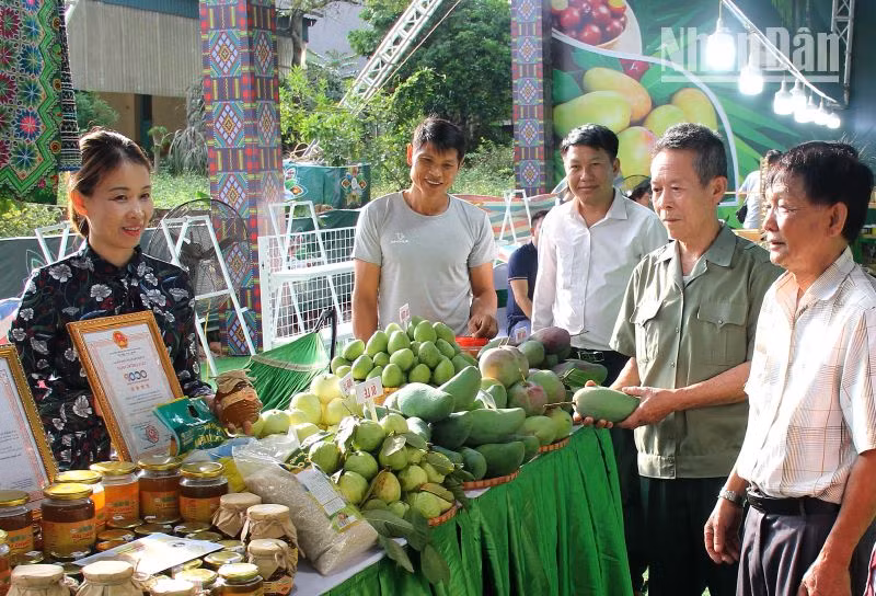 Trưng bày “Không gian văn hóa, giới thiệu sản phẩm du lịch, nông sản, đặc sản của Sơn La và các tỉnh vùng Tây Bắc”.