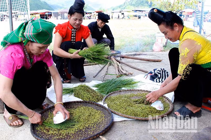Phần thi giã, làm cốm của 8 đội thi đến từ các bản là một trong những nội dung thi trong dịp tổ chức Lễ hội mừng cơm mới tại xã Ngọc Chiến, đã thu hút đông người dân tham gia, trải nghiệm. Phần thi giã, làm cốm của 8 đội thi đến từ các bản là một trong những nội dung thi trong dịp tổ chức Lễ hội mừng cơm mới tại xã Ngọc Chiến, đã thu hút đông người dân tham gia, trải nghiệm.