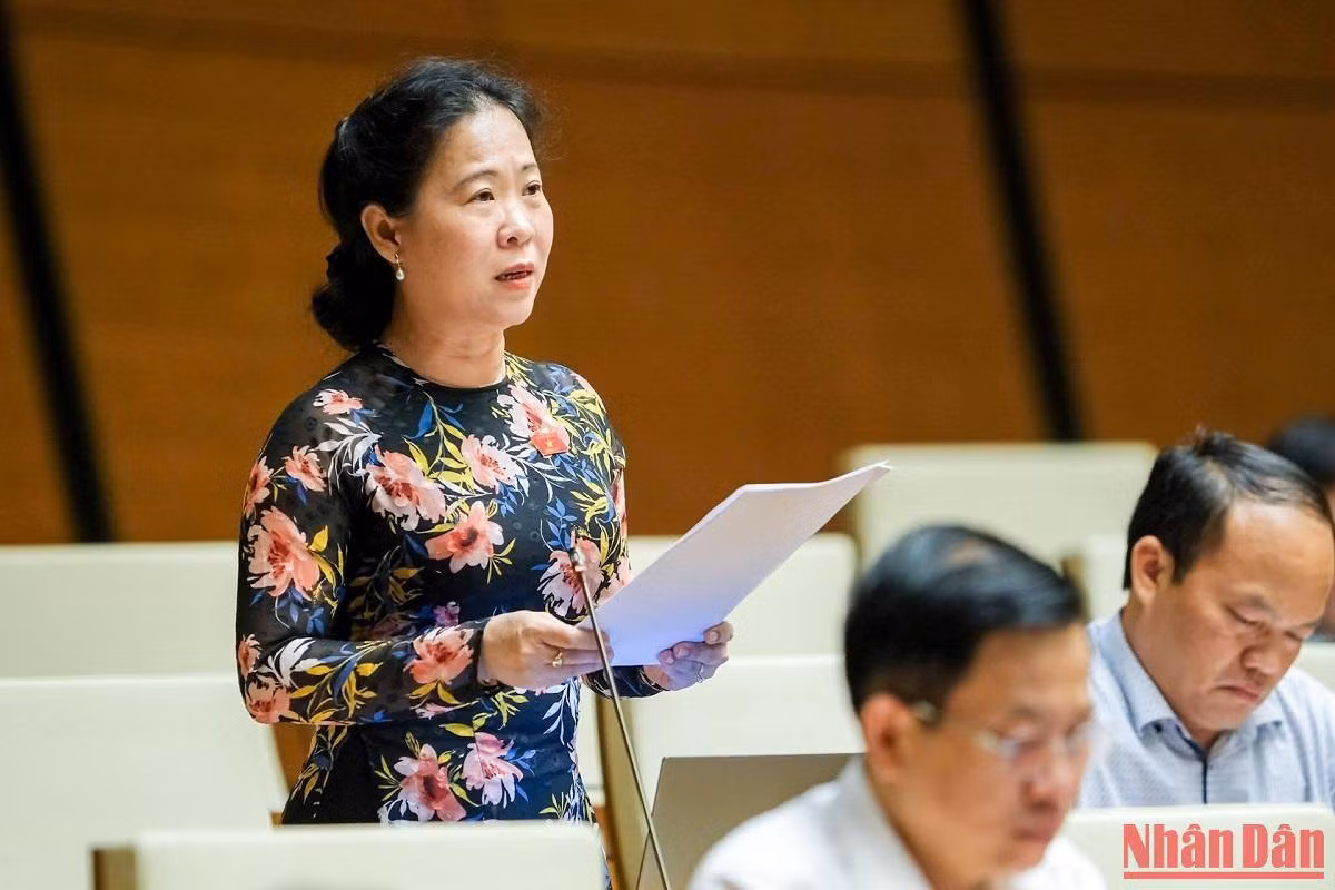 Đại biểu Tô Ái Vang phát biểu ý kiến thảo luận. (Ảnh: DUY LINH)
