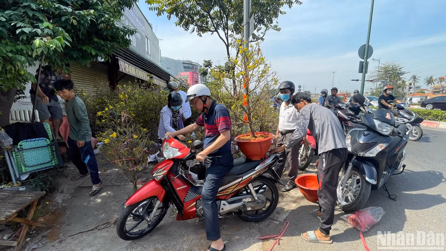 Chỉ có một khu vực bán hoa mai trên đường Phạm Văn Đồng (phường Hiệp Bình Chánh) là thu hút đông khách đến mua hoa mai giảo Thủ Đức. Anh Hiếu, một người bán hàng tại đây cho biết: “Cả một năm chăm sóc rất vất vả, nhưng mình phải bán với giá hợp lý mới thu hút được nhiều khách hàng. Giá các chậu mai trồng ngoài đất chỉ dao động 400.000-600.000 đồng/chậu, rất phù hợp với túi tiền nhiều người.