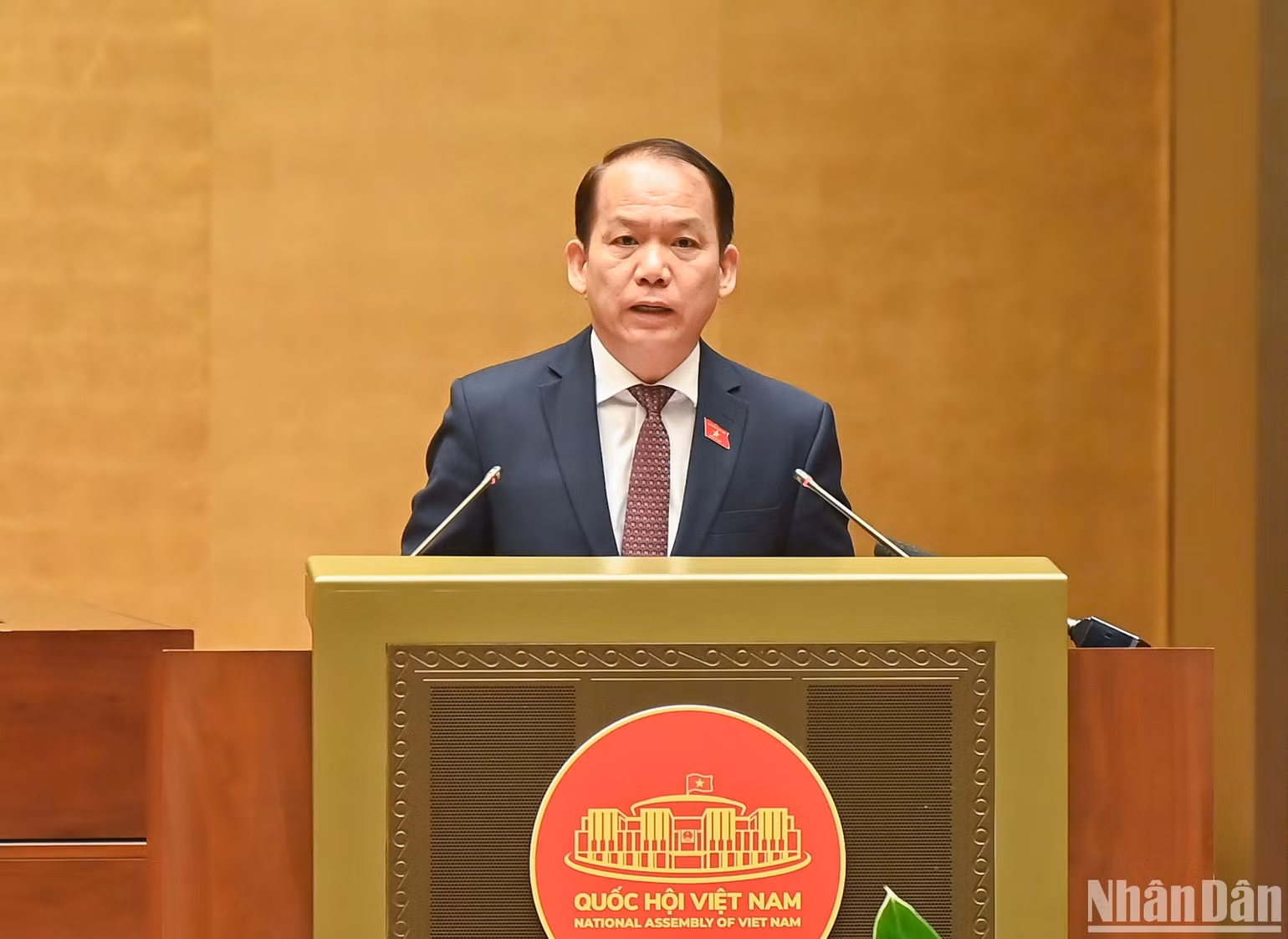 Chủ nhiệm Ủy ban Pháp luật Hoàng Thanh Tùng trình bày báo cáo thẩm tra. (Ảnh: DUY LINH)