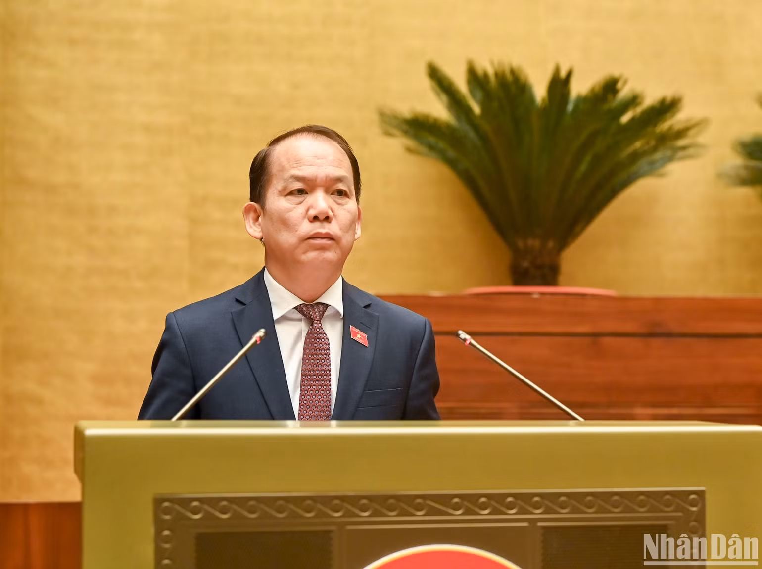 Chủ nhiệm Ủy ban Pháp luật Hoàng Thanh Tùng trình bày báo cáo thẩm tra. (Ảnh: DUY LINH) Chủ nhiệm Ủy ban Pháp luật Hoàng Thanh Tùng trình bày báo cáo thẩm tra. (Ảnh: DUY LINH)