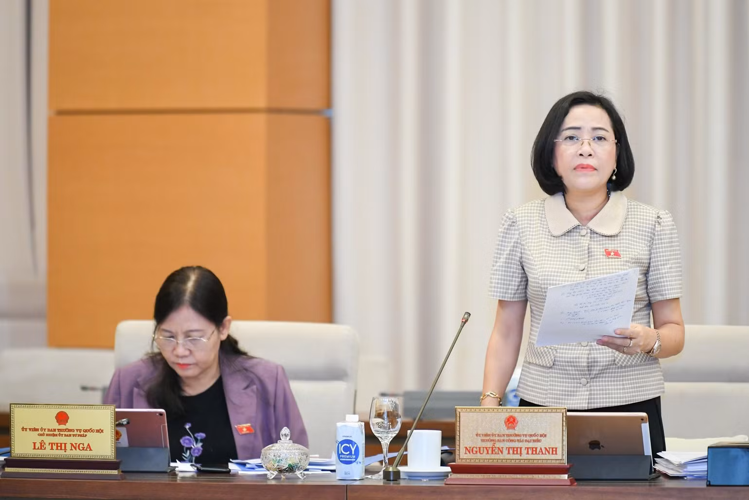 Trưởng Ban Công tác đại biểu Nguyễn Thị Thanh phát biểu ý kiến tại phiên họp.