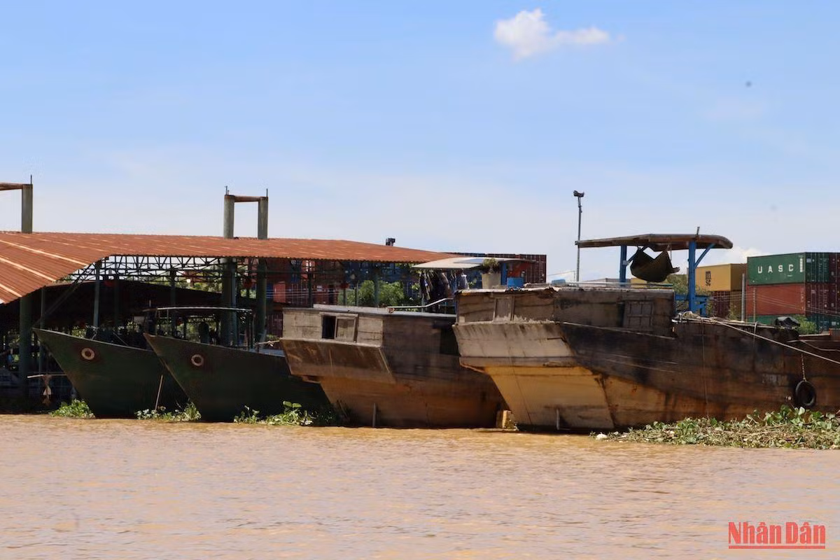 Các thuyền chở quá tải trọng trên sông Đồng Nai bị tạm giữ. Các thuyền chở quá tải trọng trên sông Đồng Nai bị tạm giữ.