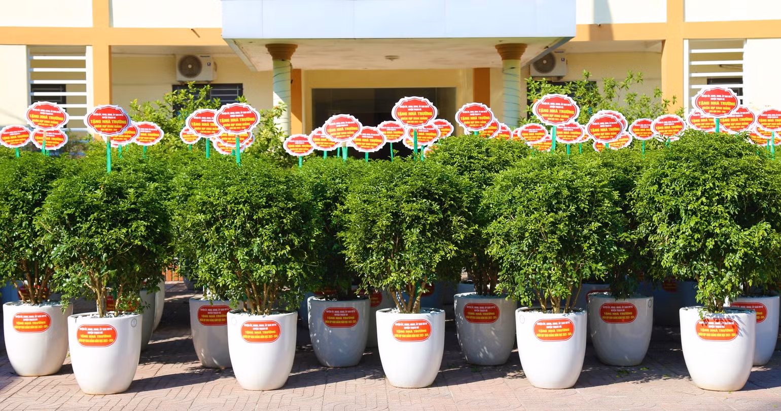 Chủ trương tặng cây xanh của huyện Thạch Hà nhận được sự đồng tình và đánh giá cao của giáo viên và phụ huynh.