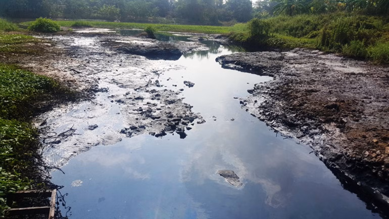 Kênh Bắc Hưng Hải bị ô nhiễm trầm trọng. Ảnh: THANH HÀ Kênh Bắc Hưng Hải bị ô nhiễm trầm trọng. Ảnh: THANH HÀ