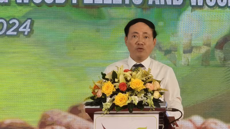 Chủ tịch Ủy ban nhân dân tỉnh Bình Định Phạm Anh Tuấn phát biểu tại buổi lễ. Chủ tịch Ủy ban nhân dân tỉnh Bình Định Phạm Anh Tuấn phát biểu tại buổi lễ.