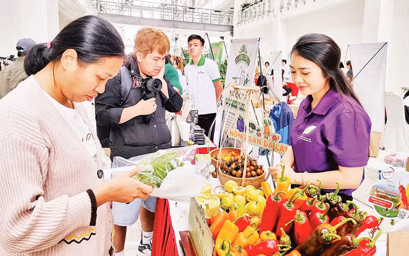 Lâm Đồng tạo điều kiện cho các chủ thể OCOP giới thiệu sản phẩm tại các sự kiện tổ chức tại địa phương. Lâm Đồng tạo điều kiện cho các chủ thể OCOP giới thiệu sản phẩm tại các sự kiện tổ chức tại địa phương.