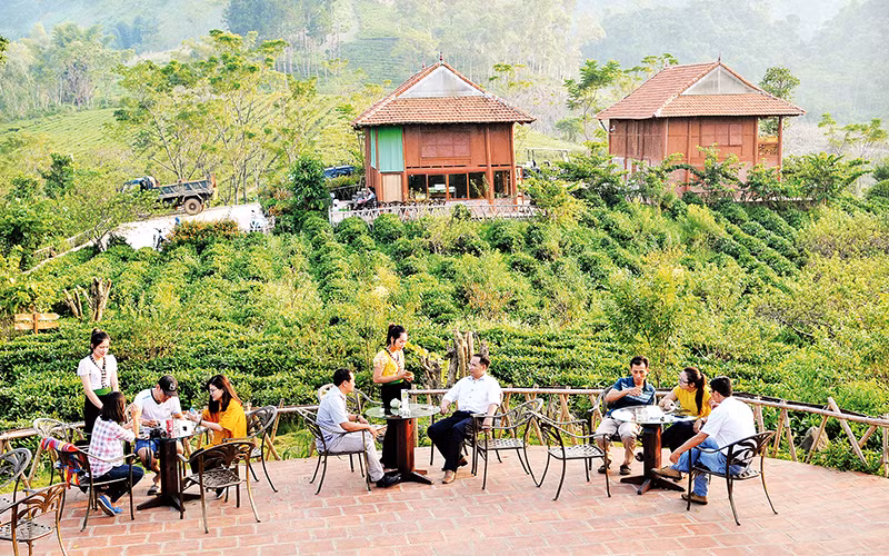 Thưởng thức trà bên khung cảnh thiên nhiên hùng vĩ, thơ mộng. Thưởng thức trà bên khung cảnh thiên nhiên hùng vĩ, thơ mộng.
