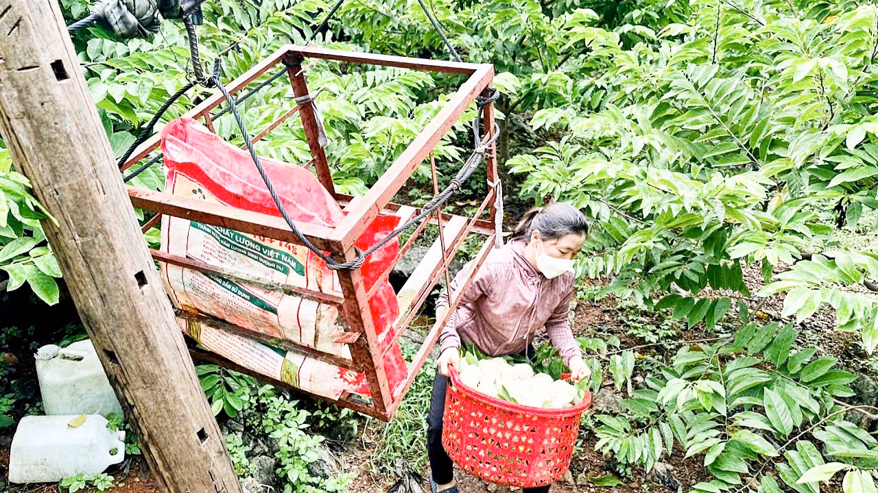 Người dân Võ Nhai tời na từ trên núi xuống để vận chuyển được nhiều và tránh cho quả bị dập nát.