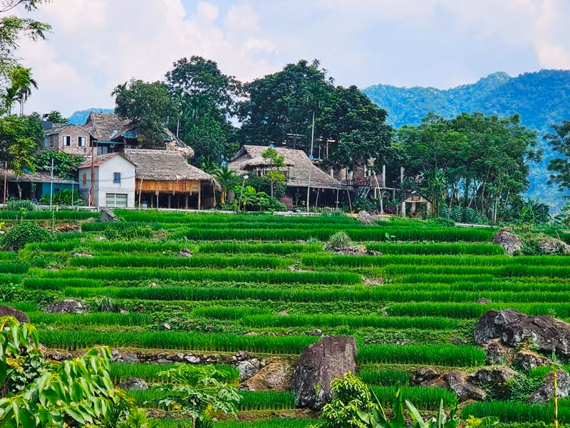 Điểm quần cư và canh tác trên đất dốc khu vực Quốc Thành, huyện Bá Thước, tỉnh Thanh Hóa.