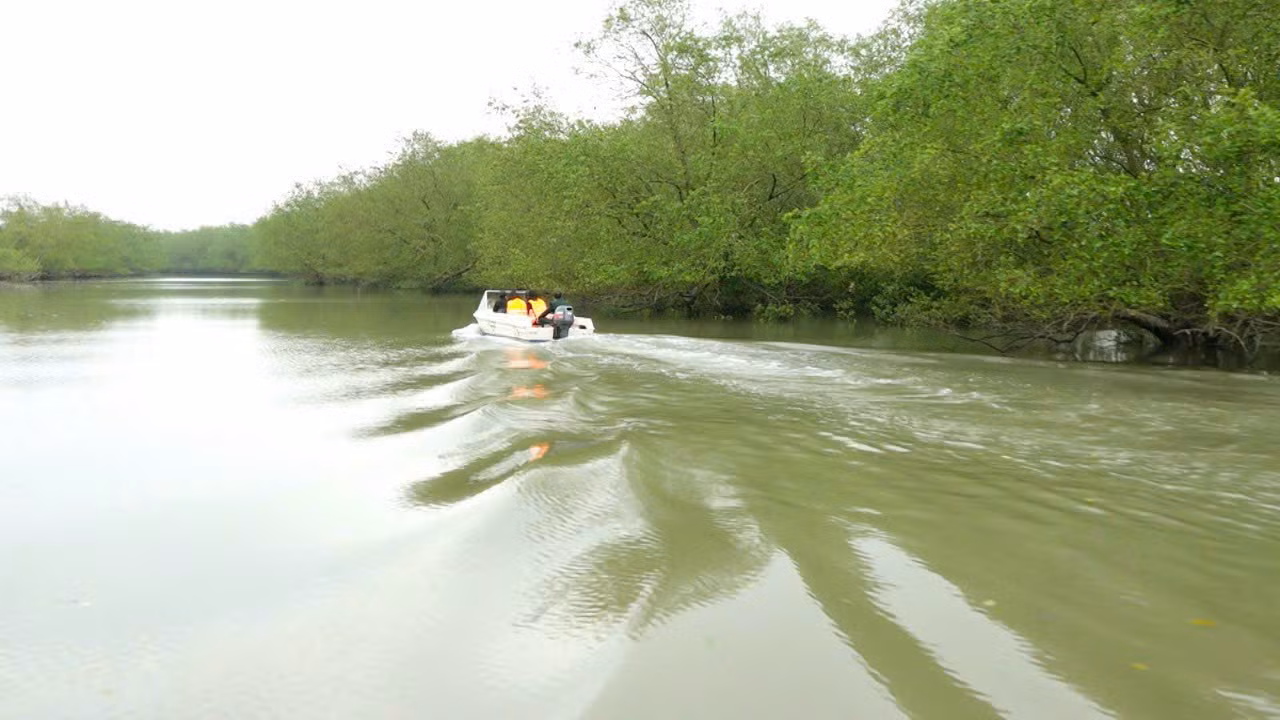 Rừng ngập mặn Thụy Trường (huyện Thái Thụy) thuộc Khu dự trữ sinh quyển châu thổ sông Hồng, nhưng hiện nay hầu như chưa khai thác được nhiều để phát triển du lịch trải nghiệm. Rừng ngập mặn Thụy Trường (huyện Thái Thụy) thuộc Khu dự trữ sinh quyển châu thổ sông Hồng, nhưng hiện nay hầu như chưa khai thác được nhiều để phát triển du lịch trải nghiệm.