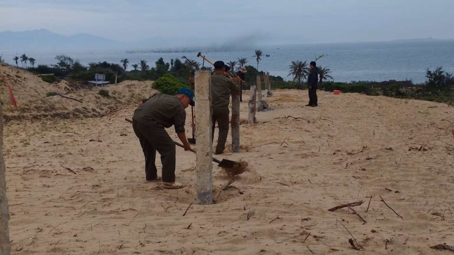 Đất ba loại rừng của huyện Tuy Phong.