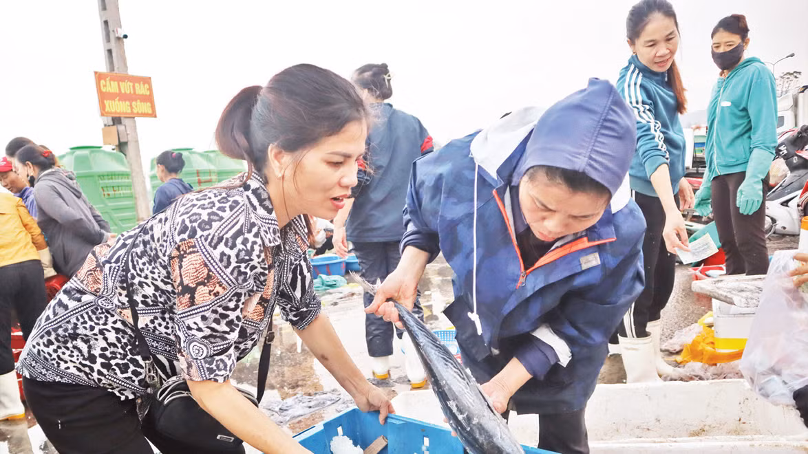 Hải sản ở đây rất đa dạng, từ cá ngừ, cá thu, cá hố đến các loại bé hơn, như cá bạc má, cá nục, cá cơm...