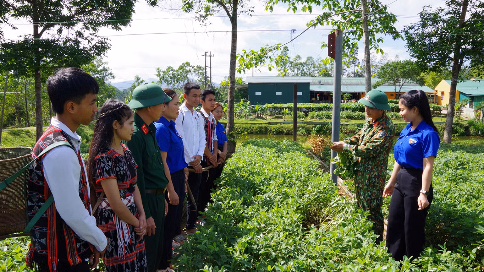 Cán bộ, nhân viên Ðoàn 92 hướng dẫn người dân kỹ thuật trồng cây công nghiệp có giá trị kinh tế cao. Cán bộ, nhân viên Ðoàn 92 hướng dẫn người dân kỹ thuật trồng cây công nghiệp có giá trị kinh tế cao.