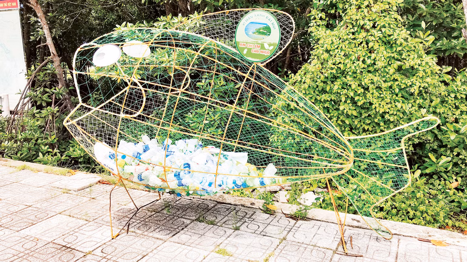 Những chú cá "xin cho em chai nhựa" đáng yêu này đang góp phần mang lại môi trường du lịch không rác thải nhựa cho vùng Đất Mũi. Những chú cá "xin cho em chai nhựa" đáng yêu này đang góp phần mang lại môi trường du lịch không rác thải nhựa cho vùng Đất Mũi.