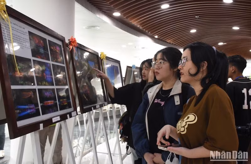 Triển lãm mở cửa tự do tại Công viên APEC Đà Nẵng đến hết ngày 2/5. Ảnh: ANH ĐÀO Triển lãm mở cửa tự do tại Công viên APEC Đà Nẵng đến hết ngày 2/5. Ảnh: ANH ĐÀO