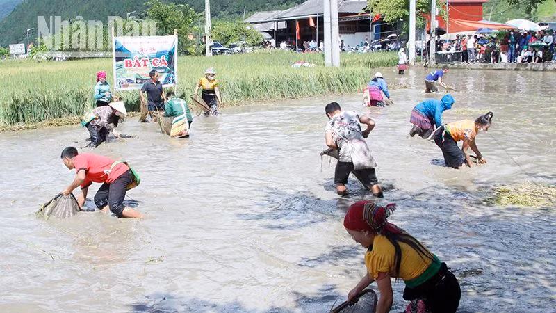 Sơn La: Hàng nghìn người tham gia Lễ hội mừng cơm mới xã Ngọc Chiến ảnh 3 Sơn La: Hàng nghìn người tham gia Lễ hội mừng cơm mới xã Ngọc Chiến ảnh 3