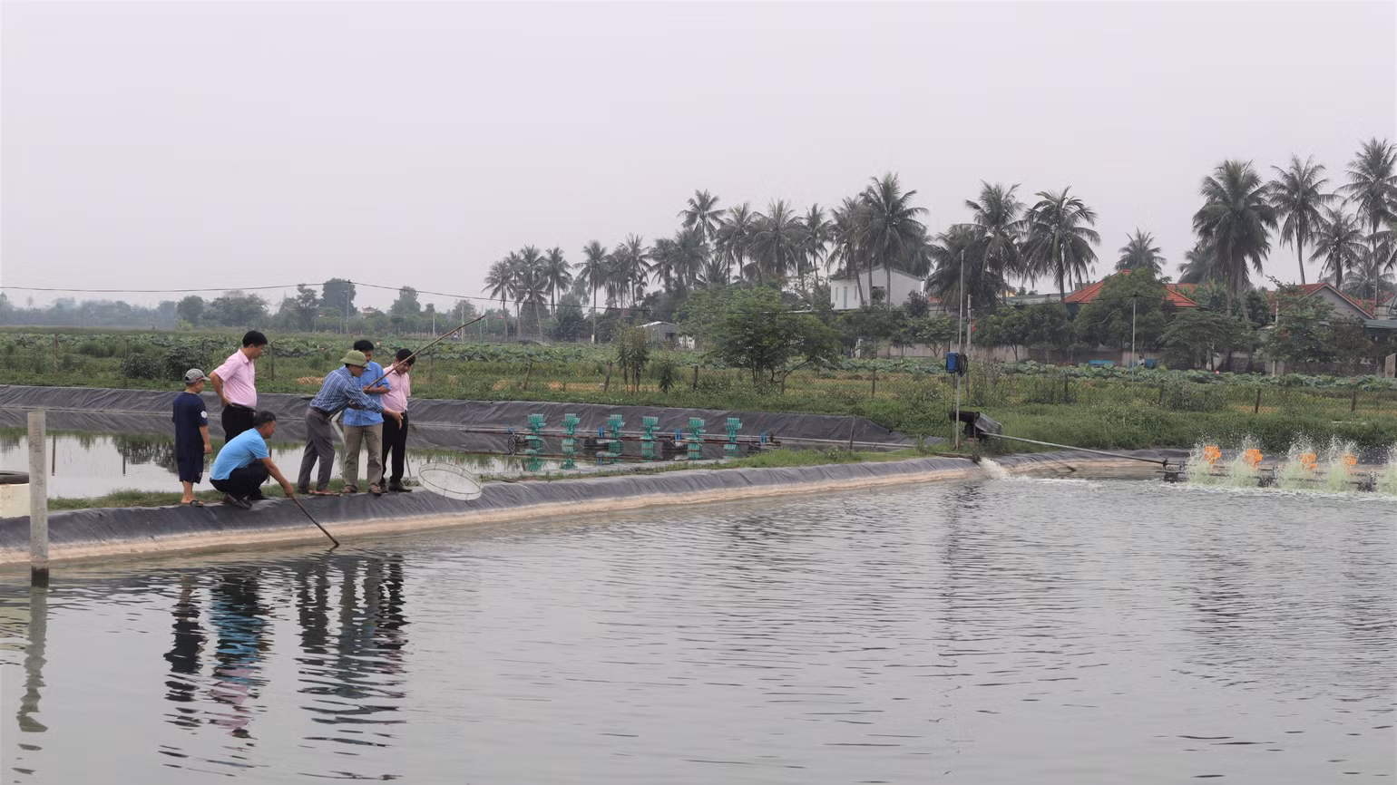 Mô hình nuôi tôm thẻ chân trắng mang lại thu nhập hiệu quả cho nhiều hộ gia đình trên địa bàn xã Diễn Vạn, huyện Diễn Châu.