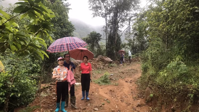 Một phần đất rừng bị san ủi để mở thành đường. (Ảnh: VĂN NHÂN) Một phần đất rừng bị san ủi để mở thành đường. (Ảnh: VĂN NHÂN)