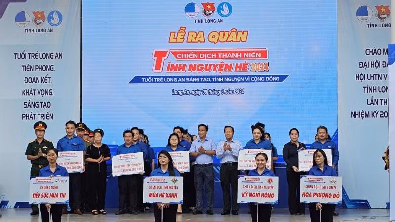 Chương trình tình nguyện mùa hè xanh tỉnh Long An đã góp phần cùng với các địa phương thực hiện nhiều công trình, phần việc góp phần thay đổi diện mạo quê hương tại các địa phương.
