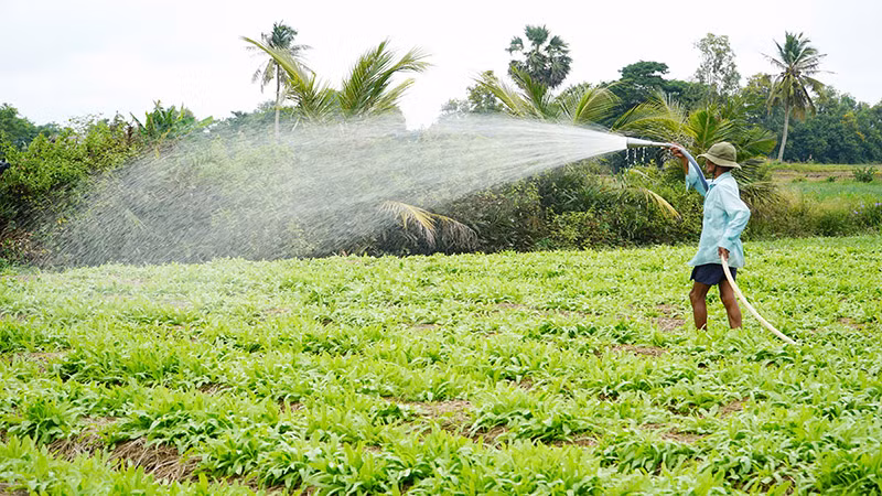 Cơ giới hóa trong sản xuất nông nghiệp vùng nông thôn đồng bào dân tộc thiểu số.